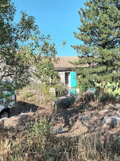 La Maison Bleue Montfort  المظهر الخارجي الصورة